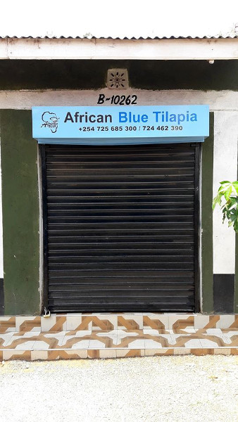 African Blue - Poa Tilapia - Our new shop at the K-City Business Park